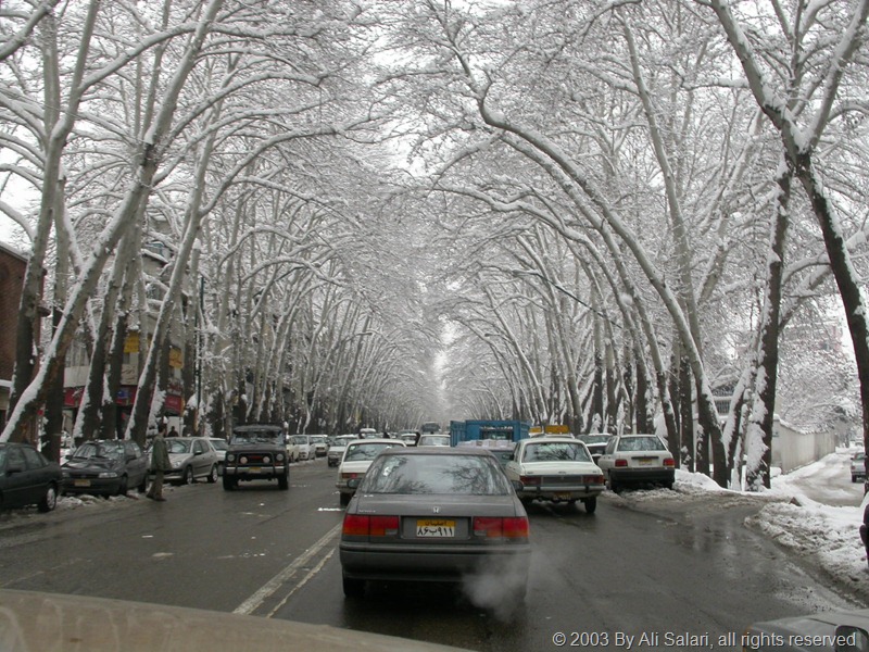 Picture showing Snow in Tehran - Vali-Asr Avenue